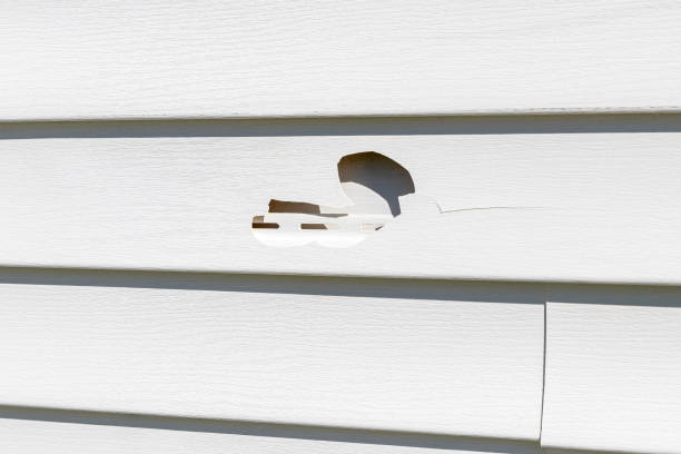 Best Custom Trim and Detailing for Siding  in Amherst, OH