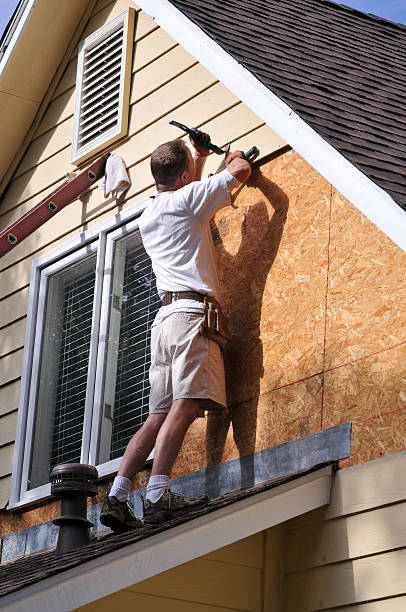 Best Custom Trim and Detailing for Siding  in Amherst, OH