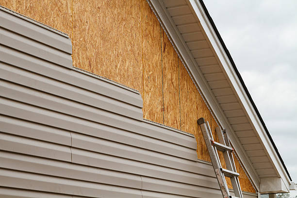 Affordable siding repair and maintenance services in Amherst, OH